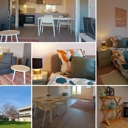 Daire Cosy Zenith Purpan *